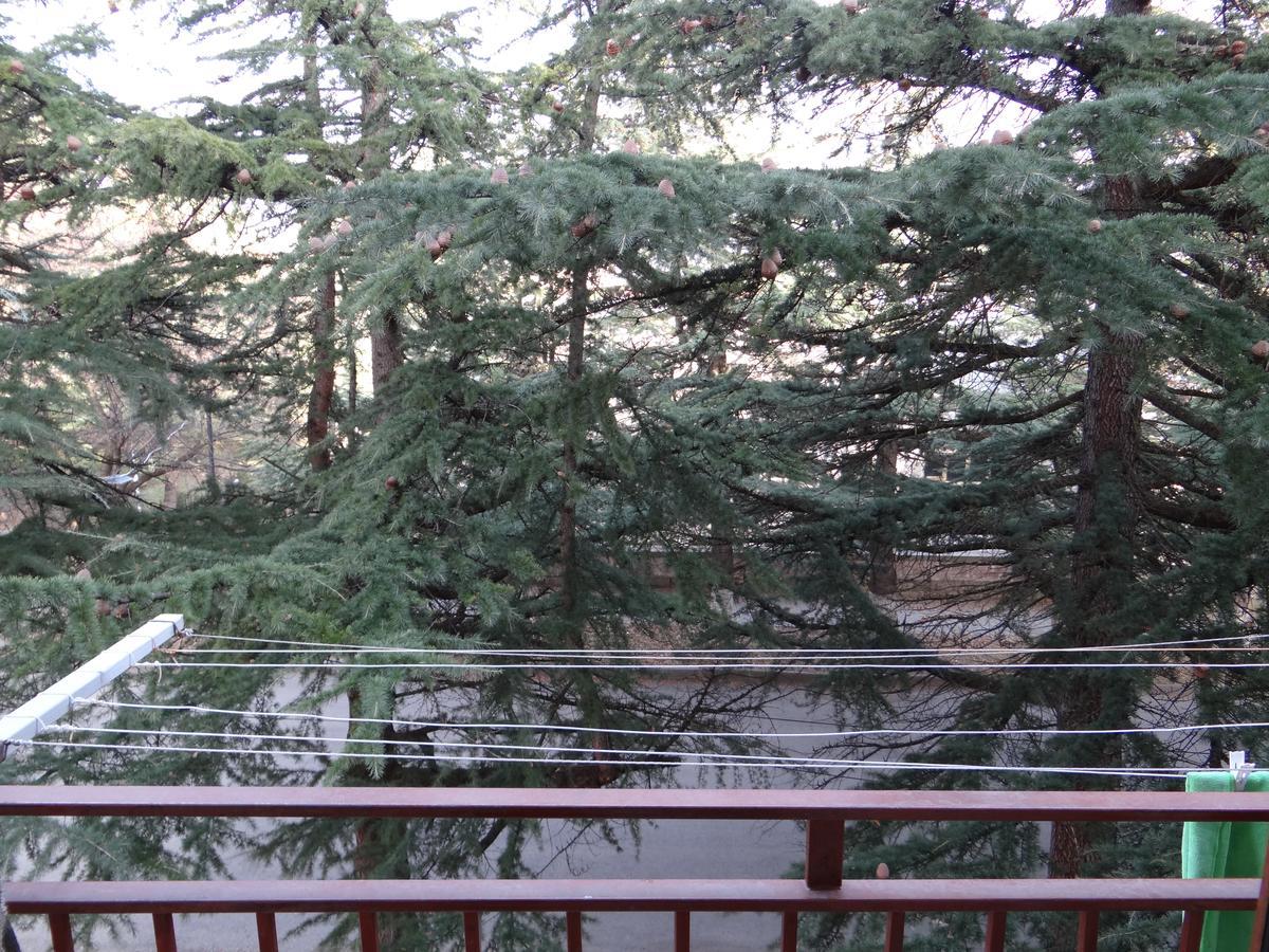 Dilijan Apartment Kültér fotó